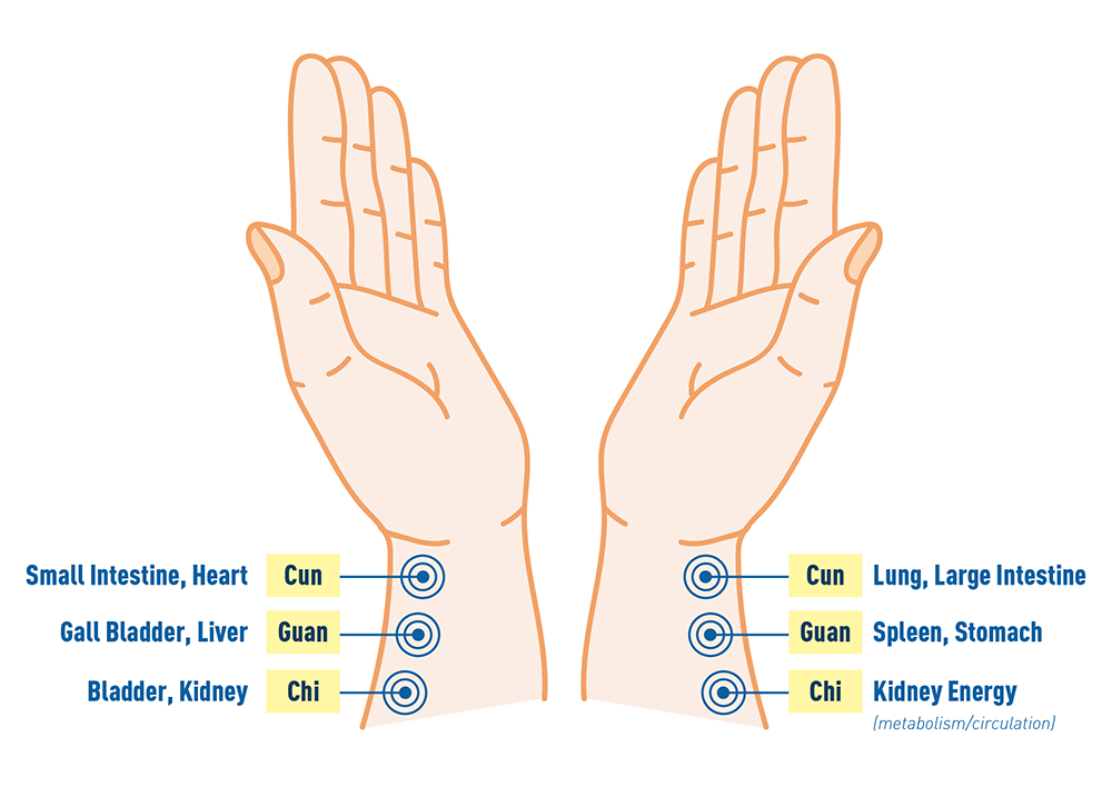 vimg/s-treatments/pulse.jpg